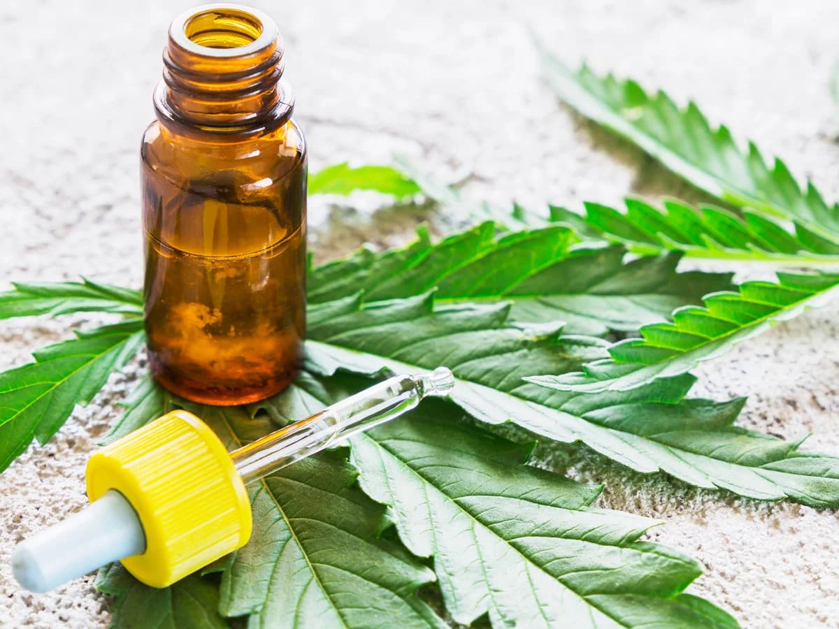 Cannabis Oil For Sale Europe – Full Spectrum THC &amp; CBD Oils for Therapeutic Use