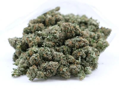 Calidad y variedad en flores pequeñas: descubre CBD small buds supplier con aromas intensos y formatos ideales para comprar al por mayor