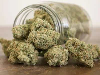 Quick MMJ Approval in Lexington KY — Consult a Licensed Medical Cannabis Doctor Today