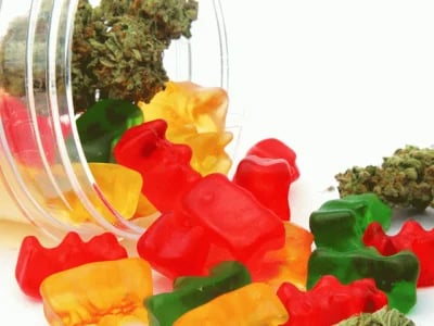 Buy Shrooms Online Safely – Explore Our Massive Collection of Capsules, Chocolates, and More!