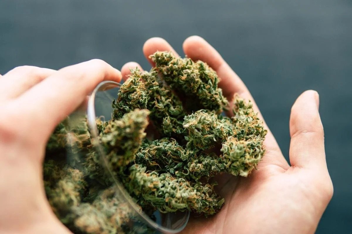 Experience CBD OG Kush Confidence: Lab-Verified by Our Qualified Medical Team
