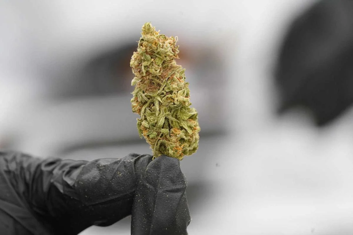 Elevate Your Wellness with THC Therapeutics Cannabis Wellness OZ Products