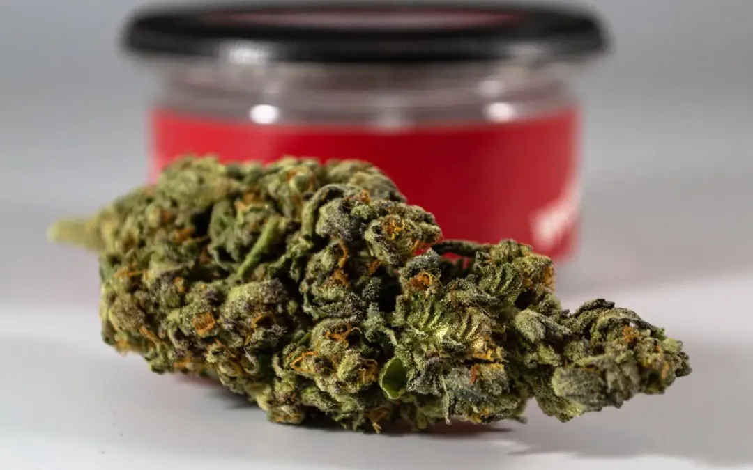 Elevate Your Well-Being with Premium hemp extract and Botanicals