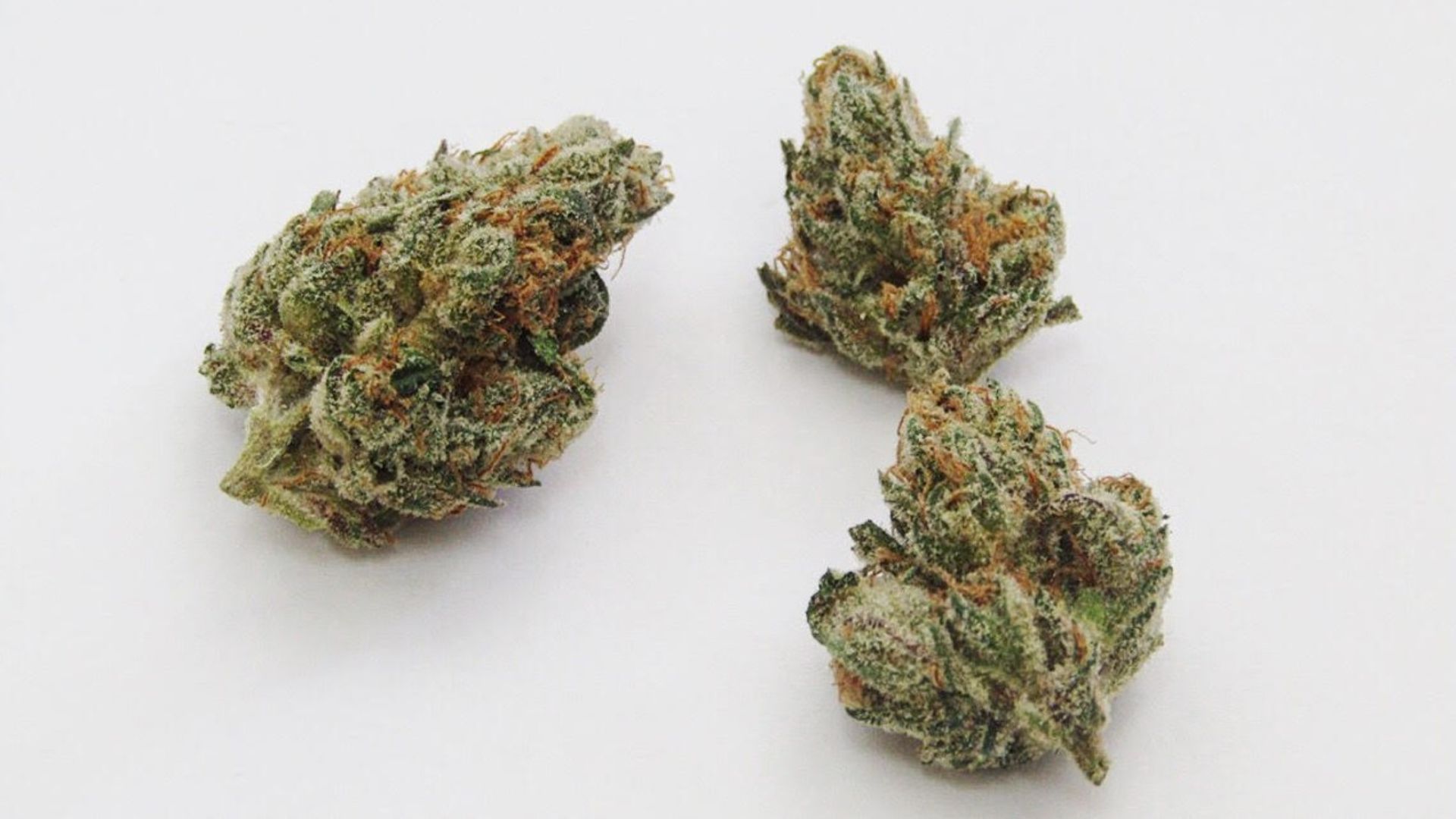 Understanding Weed Strains for Sale Europe: A Complete Informational Guide