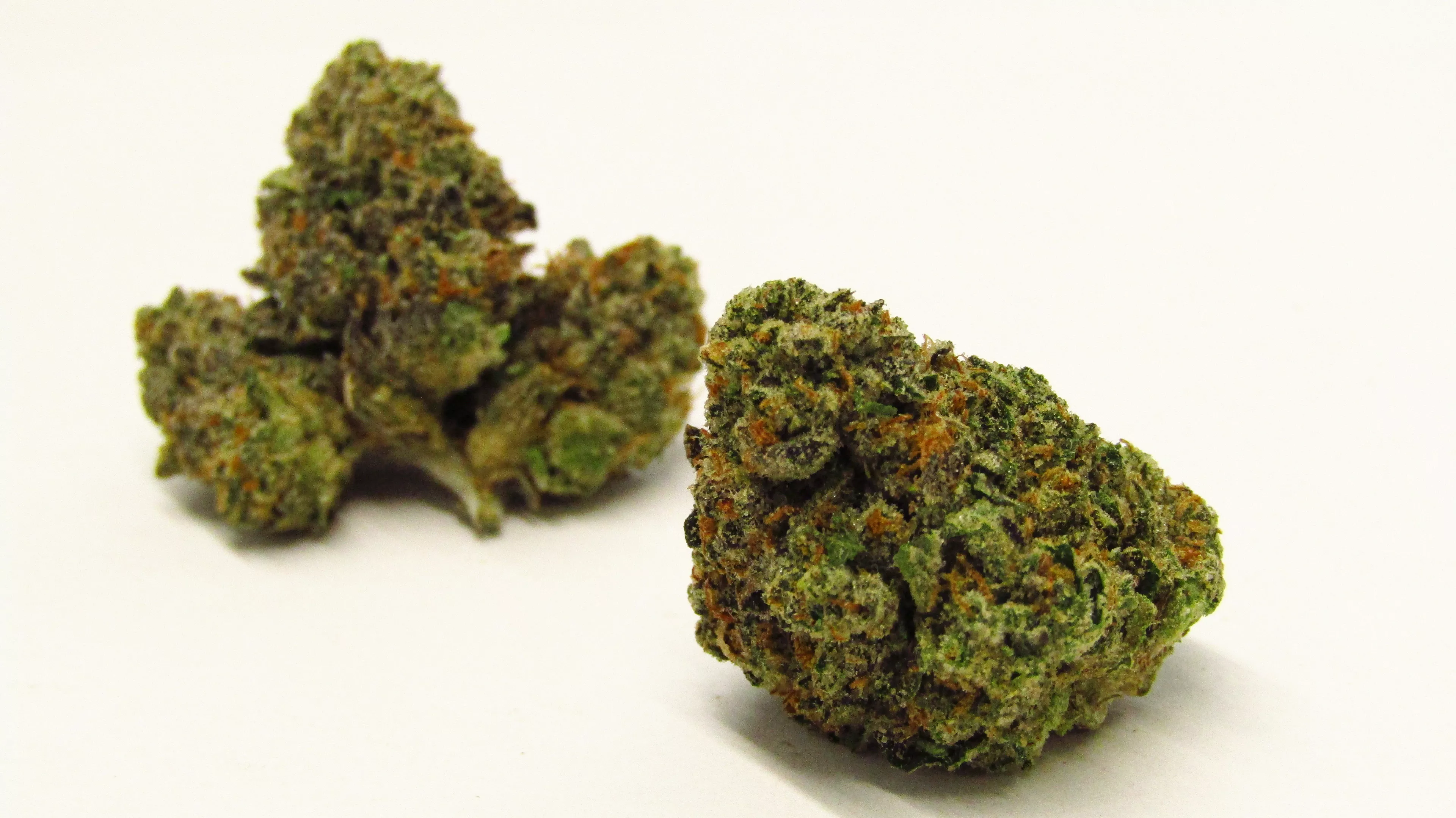 Premium Jealousy strain for Cannabis Lovers Who Value Quality and Potency