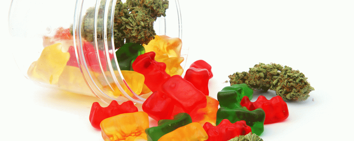 Buy Shrooms Online Safely – Explore Our Massive Collection of Capsules, Chocolates, and More!