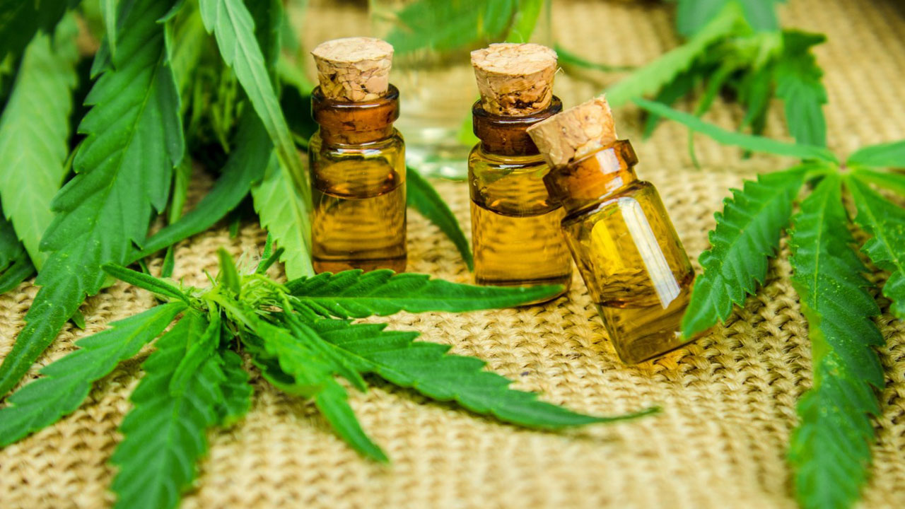 Cannabis Oil For Sale Europe – Full Spectrum THC &amp; CBD Oils for Therapeutic Use